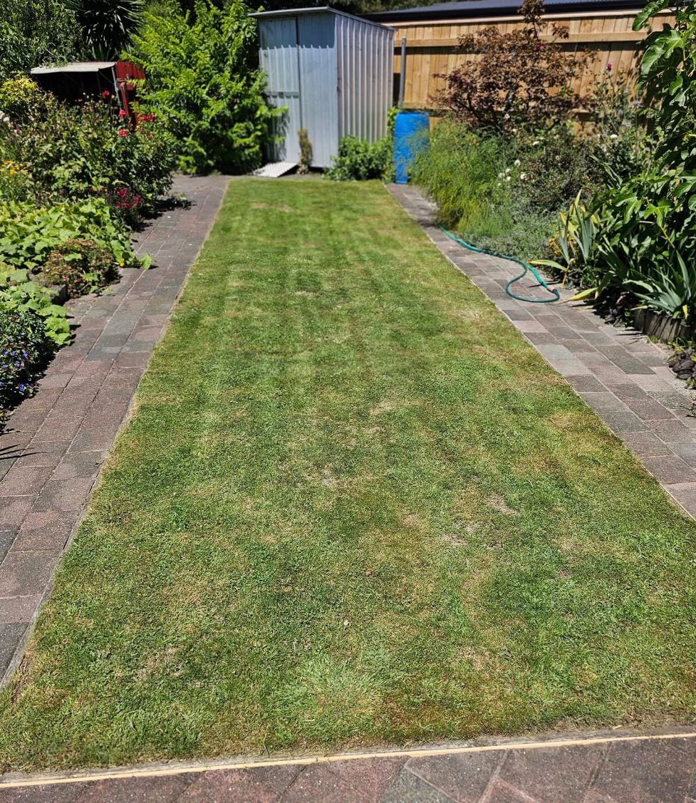 Shrub Removal